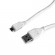 CABLE USB2 TO MICRO-USB 0.5M/CCP-MUSB2-AMBM-W-0.5M GEMBIRD paveikslėlis 1