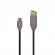 CABLE USB2 C-A 1M/ANTHRA 36886 LINDY image 1