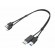 Lenovo | ThinkStation mDP + USB-A 3.0 to DP + USB-B 3.0 Dual Head Cable image 1