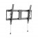 Gembird | Wall mount | Tilt | 37-80 " | Maximum weight (capacity) 70 kg | Black paveikslėlis 1