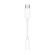 Apple | USB-C to 3.5mm Adapter image 1