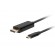 Lanberg USB-C to DisplayPort Cable image 1