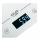 Adler | Kitchen scales | AD 3170 | Maximum weight (capacity) 15 kg | Graduation 1 g | Display type LCD | White image 3