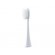 Panasonic | Brush Head | WEW0972W503 | Heads | For adults | Number of brush heads included 2 | Number of teeth brushing modes Does not apply | White image 1