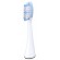 Panasonic | Toothbrush replacement | WEW0974W503 | Heads | For adults | Number of brush heads included 2 | Number of teeth brushing modes Does not apply | White фото 2