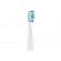 Panasonic | Toothbrush replacement | WEW0974W503 | Heads | For adults | Number of brush heads included 2 | Number of teeth brushing modes Does not apply | White фото 1