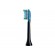Philips | Interchangeable Sonic Toothbrush Heads | HX9042/33 Sonicare C3 Premium Plaque Defence | Heads | For adults and children | Number of brush heads included 2 | Number of teeth brushing modes Does not apply | Sonic technology | Black image 9