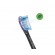 Philips | Standard Sonic Toothbrush Heads | HX9052/33 Sonicare G3 Premium Gum Care | Heads | For adults and children | Number of brush heads included 2 | Number of teeth brushing modes Does not apply | Black image 4