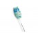 Philips | Toothbrush Brush Heads | HX9022/10 Sonicare C2 Optimal Plaque Defence | Heads | For adults | Number of brush heads included 2 | Number of teeth brushing modes Does not apply | Sonic technology | White image 7