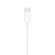 Apple | EarPods (USB-C) | Wired | In-ear | White paveikslėlis 3