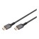 Digitus | DisplayPort Connector Cable 1.4 | Black | DP to DP | 3 m image 2