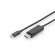 Digitus | USB Type-C adapter cable | USB-C | DisplayPort | USB-C to DP | 2 m image 1