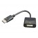 Cablexpert | Adapter Cable | DP to DVI-D | 0.1 m paveikslėlis 2