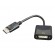 Cablexpert | Adapter Cable | DP to DVI-D | 0.1 m paveikslėlis 3