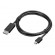 Lenovo | Black | mini DisplayPort | DisplayPort | DP to DP | 2 m фото 3