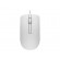 Dell | Optical Mouse | MS116 | wired | White фото 4