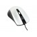 Gembird | Mouse | MUS-4B-01-BS | Standard | USB | Black/ silver image 2