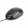 Gembird | MUS-U-01 | Wired | Optical USB mouse | Black фото 2