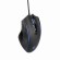 Gembird | USB gaming RGB backlighted mouse | MUSG-RAGNAR-RX300 | Optical mouse | Black paveikslėlis 3
