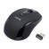 Logilink | 2.4GH wireless mini mouse with autolink | Maus optisch Funk 2.4 GHz | wireless | Black paveikslėlis 3