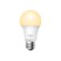 TP-LINK | Smart Wi-Fi Light Bulb | Tapo L510E фото 2