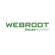 Webroot | SecureAnywhere | Internet Security Plus | 1 year(s) | License quantity 1 user(s) paveikslėlis 1