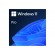 Microsoft | Windows 11 Pro | FQC-10572 | ESD | All Languages фото 2