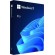 Microsoft | Windows 11 Pro | HAV-00163 | English | FPP | USB | 64-bit фото 1
