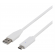 Cable DELTACO USB 2.0 1m, white / USBC-1009 image 1