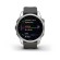 Garmin Fenix 7S Smart watch Standard Edition Silver/Graphite 42mm image 2