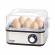 Adler AD 4486 egg cooker 8 egg(s) 800 W Black,Satin steel,Transparent paveikslėlis 1