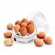 Esperanza EKE001 egg cooker 7 egg(s) 350 W White image 3