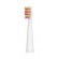 FAIRYWILL SONIC TOOTHBRUSHES 507 PINK AND BLACK paveikslėlis 4