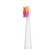 FAIRYWILL SONIC TOOTHBRUSHES 507 PINK AND BLACK paveikslėlis 6