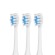 Toothbrush Promedix PR-750 W IPX7 black, travel case, 5 modes, timer, 3 power levels, 3 heads фото 1