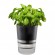 GEFU BOTANICO Herb pot Freestanding Plastic, Stainless steel Black image 1