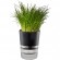 GEFU BOTANICO Herb pot Freestanding Plastic, Stainless steel Black image 3