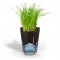 GEFU BOTANICO Herb pot Freestanding Plastic, Stainless steel Black image 5