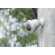 Imou Knight IP security camera Outdoor 3840 x 2160 pixels Ceiling/wall paveikslėlis 5