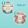 Pampers Pants Boy/Girl 3 128 pc(s) image 3