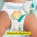 Pampers Pants Boy/Girl 6 84 pc(s) image 2