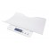 Esperanza EBS017 Children's scales for infants 2in1 White image 1