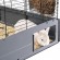 FERPLAST Multipla - Modular cage for rabbit or guinea pig - 107.5 x 72 x 50 cm image 9
