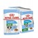 ROYAL CANIN SHN Mini Puppy in sauce - wet puppy food - 12X85g image 1