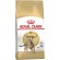 Royal Canin Bengal Adult cats dry food 2 kg Poultry, Vegetable image 1
