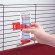Drinks - Automatic dispenser for rodents - medium- red image 1