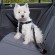TRIXIE Car-safety dog harness S 1290 image 3
