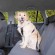 Trixie Car Harness for dog - size M image 3