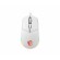 MSI CLUTCH GM11 WHITE Gaming Mouse '2-Zone RGB, upto 5000 DPI, 6 Programmable button, Symmetrical design, OMRON Switches, Center' paveikslėlis 3