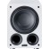 Magnat Alpha RS 8 Active subwoofer 80 W White paveikslėlis 2